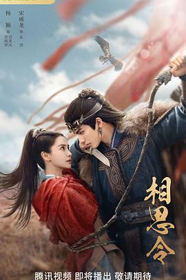 相思令 第09集